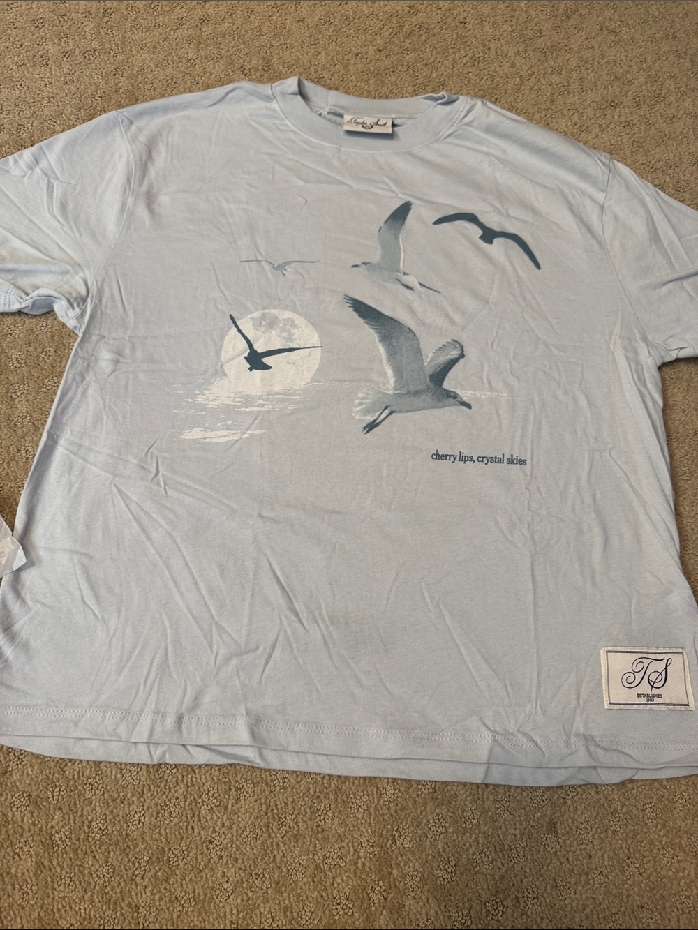 Taylor Swift Beach Tee - Light Blue Seagull Graphic Crew Neck T-Shirt